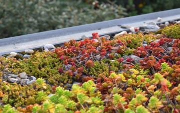 the cost of Dundonald green roof installation