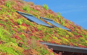 Dundonald living roof systems