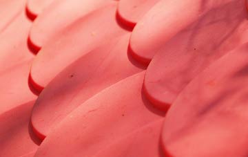 Dundonald plastic roof costs