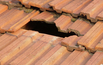 roof repair Dundonald