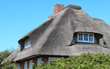 thatch roofing Dundonald