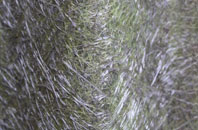 Dundonald fibreglass roof work