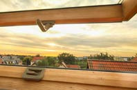 rated Dundonald roof window companies